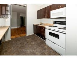 225 St. Patrick Street, Ottawa, ON K1N5K2 Photo 18