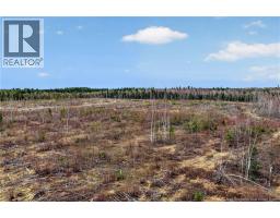 Lot Perry Road, Saint Edouard De Kent, NB E4S4T2 Photo 7