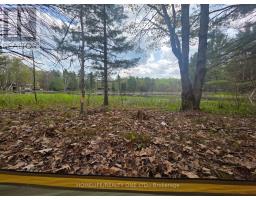 0 Village 1 Road, Muskoka Lakes, ON P0B1M0 Photo 10
