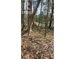 0 Village 1 Road, Muskoka Lakes, ON P0B1M0 Photo 11