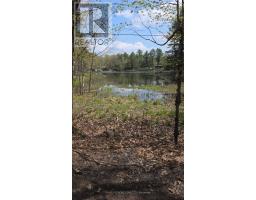 0 Village 1 Road, Muskoka Lakes, ON P0B1M0 Photo 12