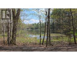 0 Village 1 Road, Muskoka Lakes, ON P0B1M0 Photo 13