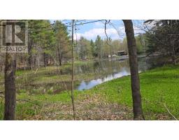 0 Village 1 Road, Muskoka Lakes, ON P0B1M0 Photo 15