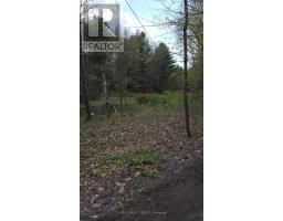 0 Village 1 Road, Muskoka Lakes, ON P0B1M0 Photo 17