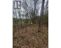 0 Village 1 Road, Muskoka Lakes, ON P0B1M0 Photo 21