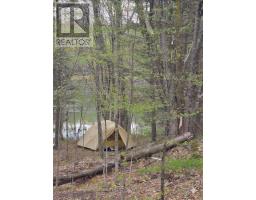 0 Village 1 Road, Muskoka Lakes, ON P0B1M0 Photo 6