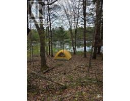 0 Village 1 Road, Muskoka Lakes, ON P0B1M0 Photo 7