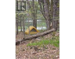 0 Village 1 Road, Muskoka Lakes, ON P0B1M0 Photo 8