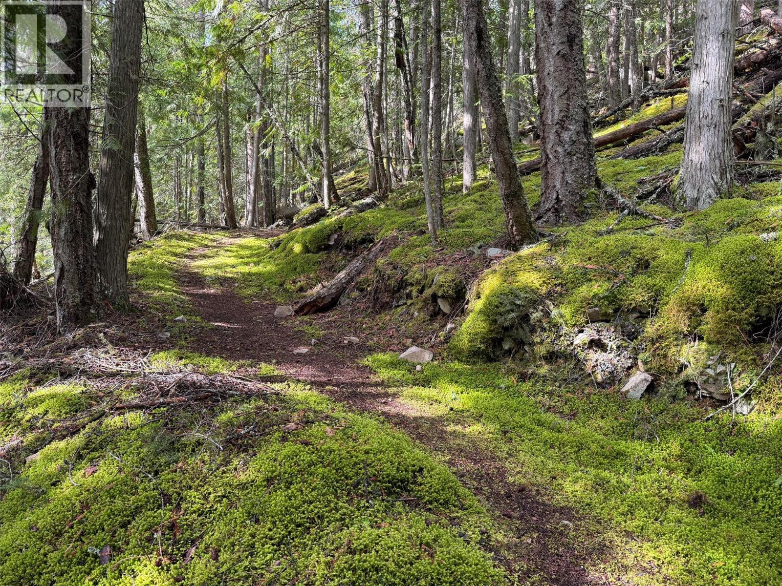 4926 Fletcher Creek Road - 61