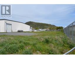10 Gales Road, Placentia, NL A0B2Y0 Photo 10