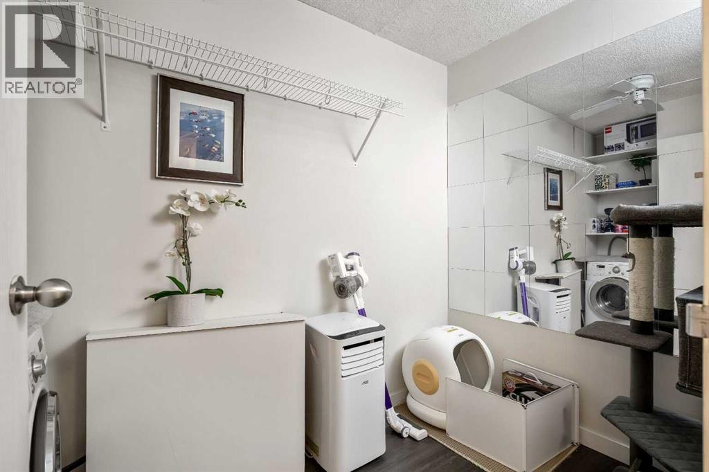 #301 523 15 Avenue SW - 17