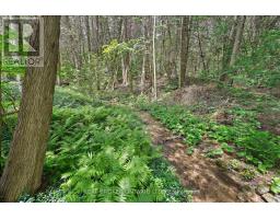 307254 Hockley Road, Mono, ON L9W2Y8 Photo 17