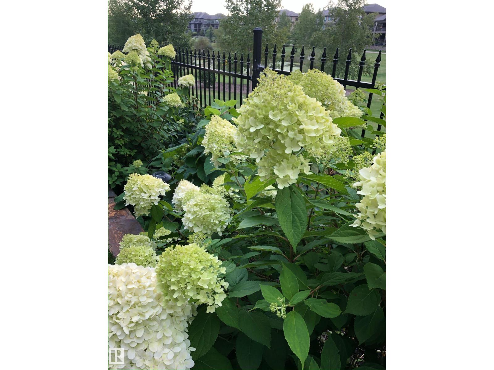3048 WATSON LD NW - 67
