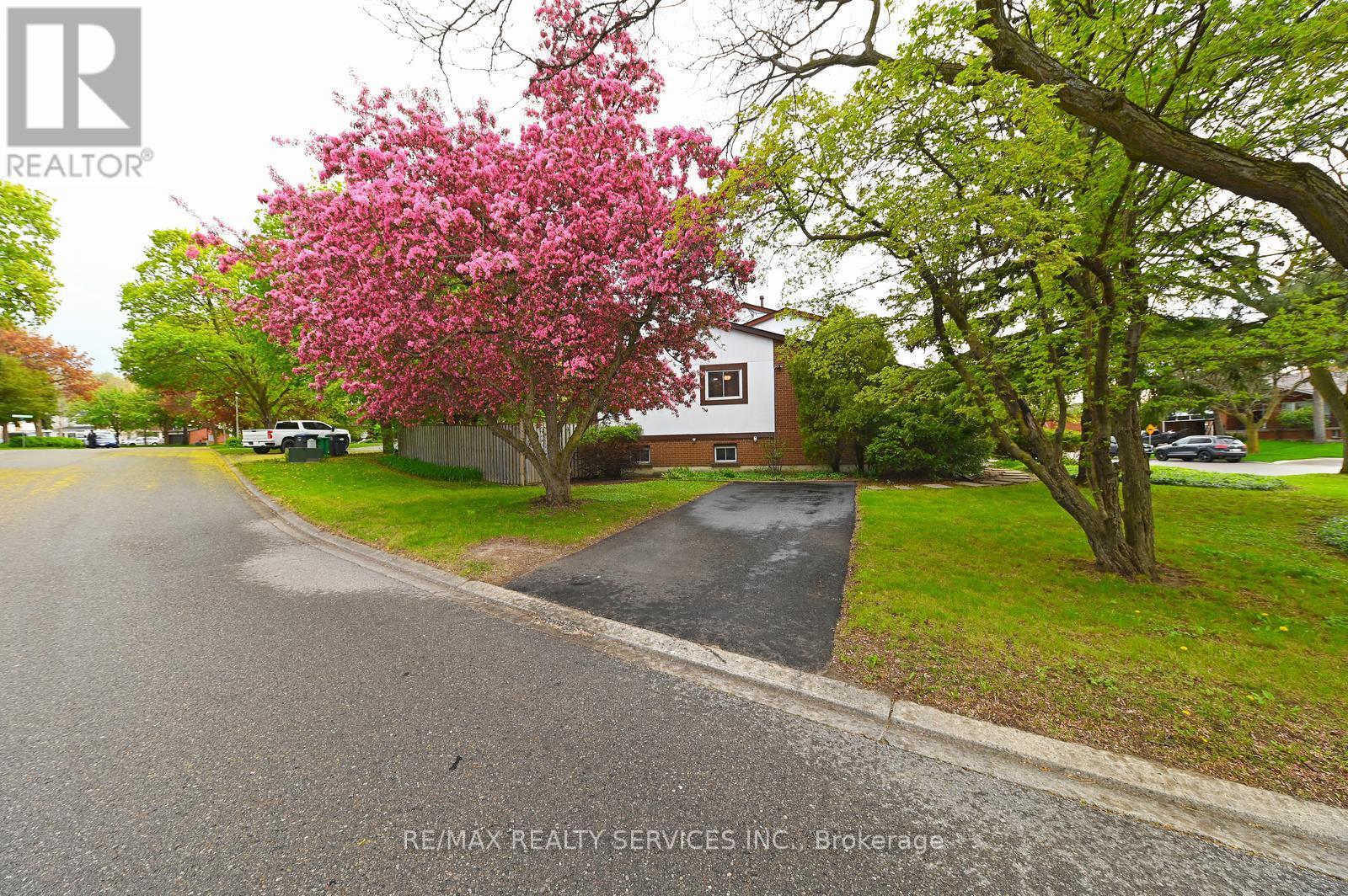 65 MASSEY STREET - 32