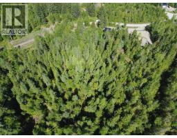 Ridge Road Lot# Lot C, Eagle Bay, BC V0E1T0 Photo 8