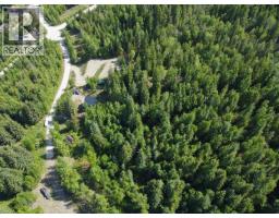 Ridge Road Lot# Lot C, Eagle Bay, BC V0E1T0 Photo 9