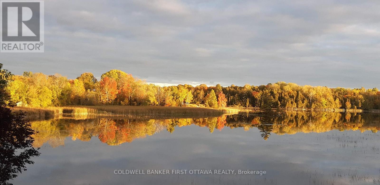 2600 RAMSAY CONCESSION 2B - 50