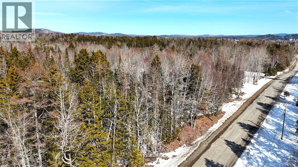 39 L Harkness Road - 36