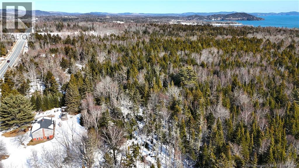 39 L Harkness Road - 41