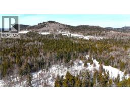 39 L Harkness Road, Chamcook, NB E5B3E7 Photo 39