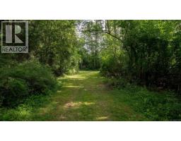 485 Beaver Lake Rd, Saanich, BC V9E2J7 Photo 10