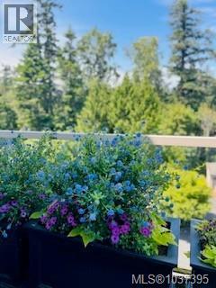 #1 4771 Cordova Bay Rd - 36