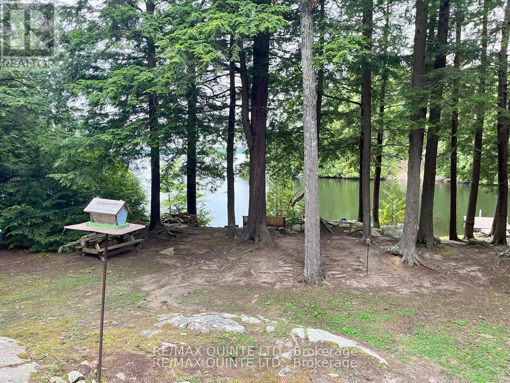 1549 GULL LAKE LANE - 3