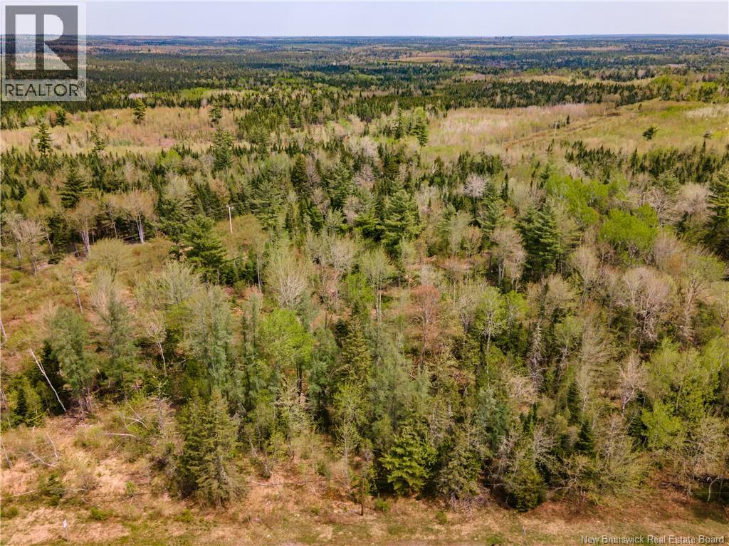 Lot Route 10 photo 4