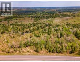 Lot Route 10, Coles Island, NB E4C2P4 Photo 6