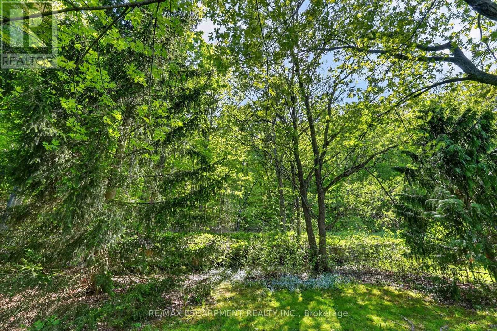 144 DORCHESTER DRIVE - 31