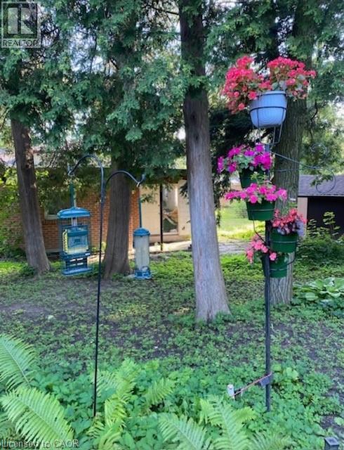 543 BOX GROVE Place - 39