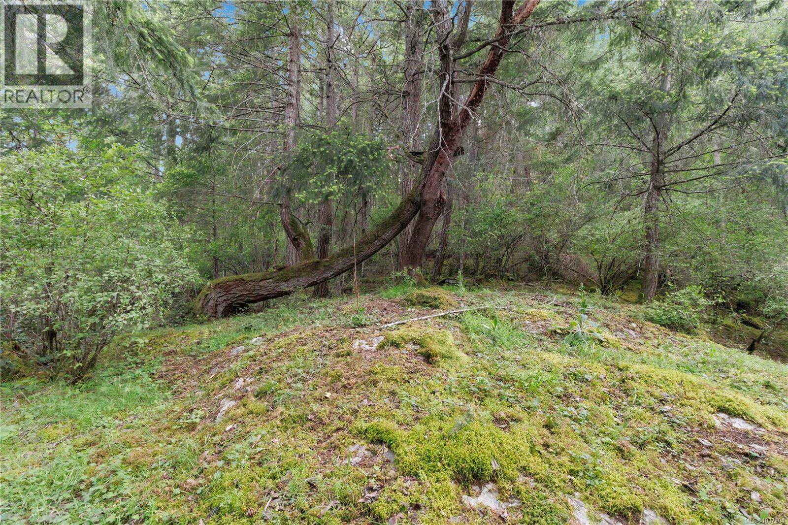 724 Emma Dixon Rd, Highlands