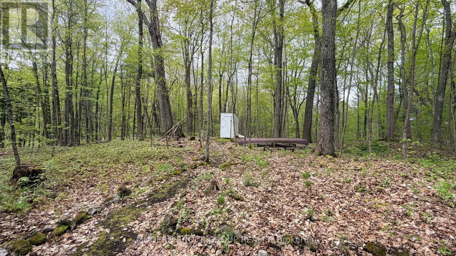 7026 BLACK JACK ISLAND - 13