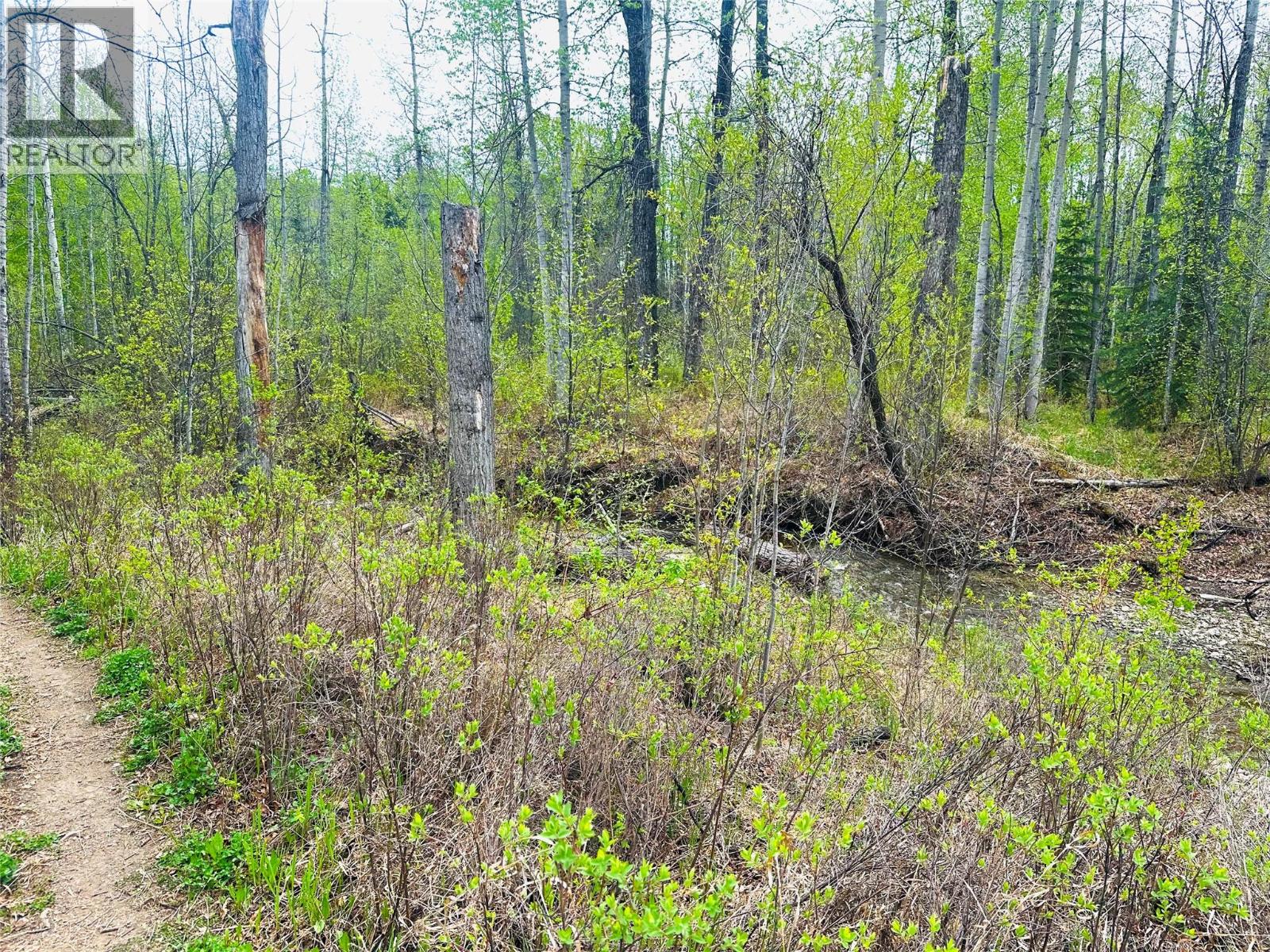4557 Veterans Way, Chetwynd
