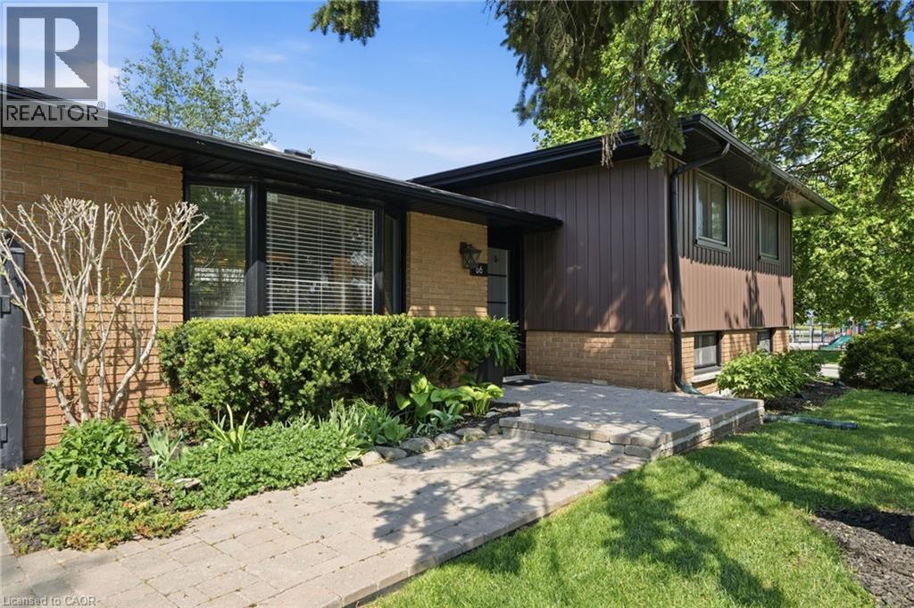 66 PURNELL Drive, Hamilton, Ontario, L9C4Y3 — Photo 4