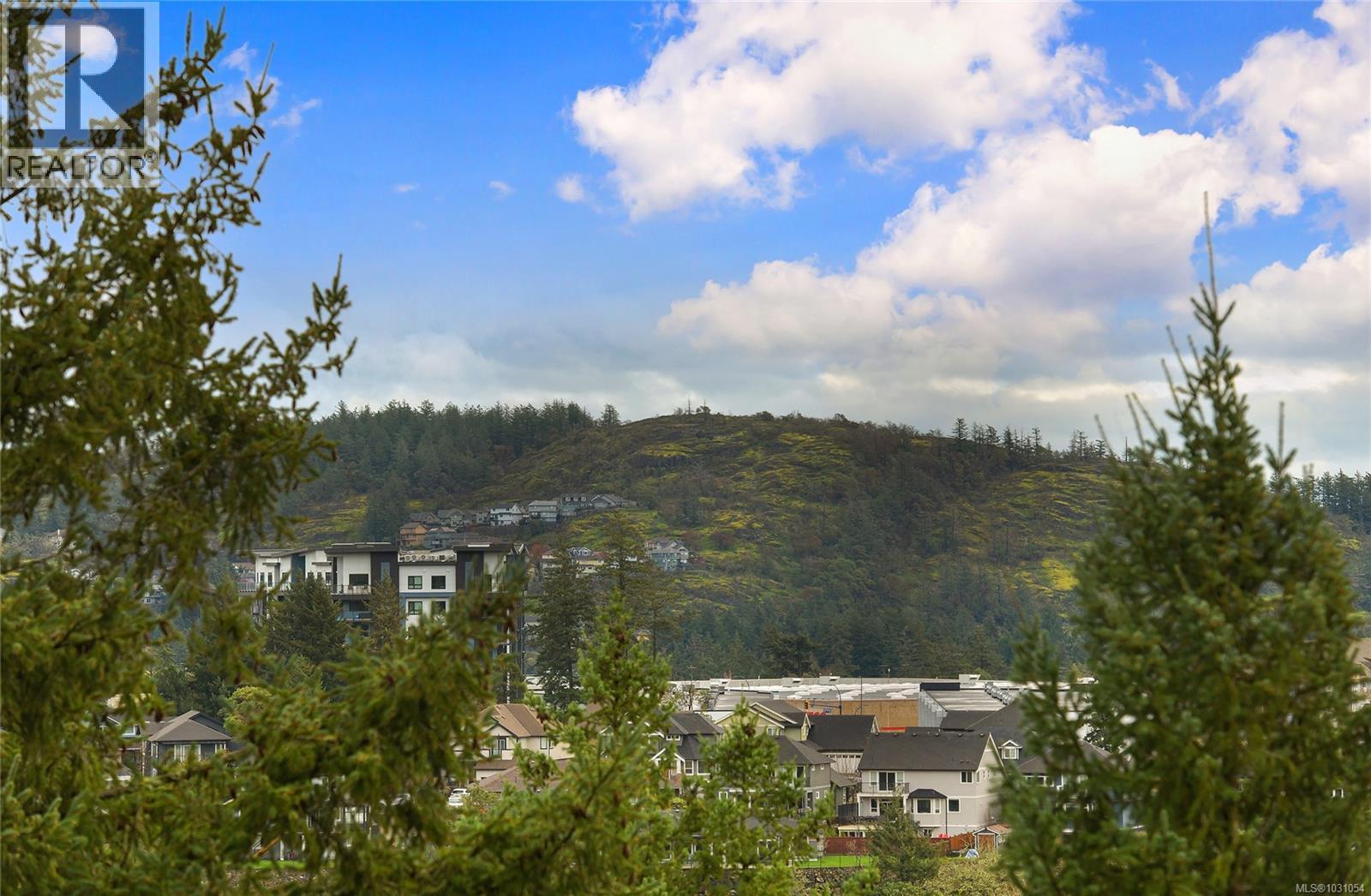 #314 2341 Bear Mountain Pkwy - 27