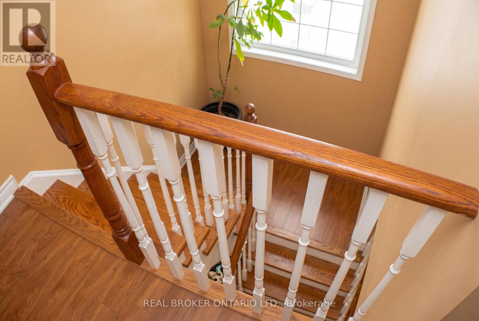 34 AXELROD AVENUE - 9