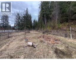 150 North Fork Road, Cherryville, BC V0E2G0 Photo 26