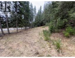 150 North Fork Road, Cherryville, BC V0E2G0 Photo 28
