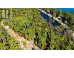 0 Red Ash Trail, Whitewater Region, ON K0J2L0 Photo 6