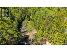00 Red Ash Trail, Whitewater Region, ON K0J2L0 Photo 6