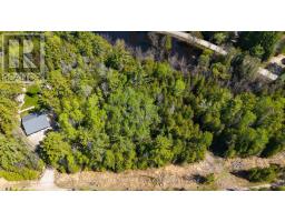 00 Red Ash Trail, Whitewater Region, ON K0J2L0 Photo 9