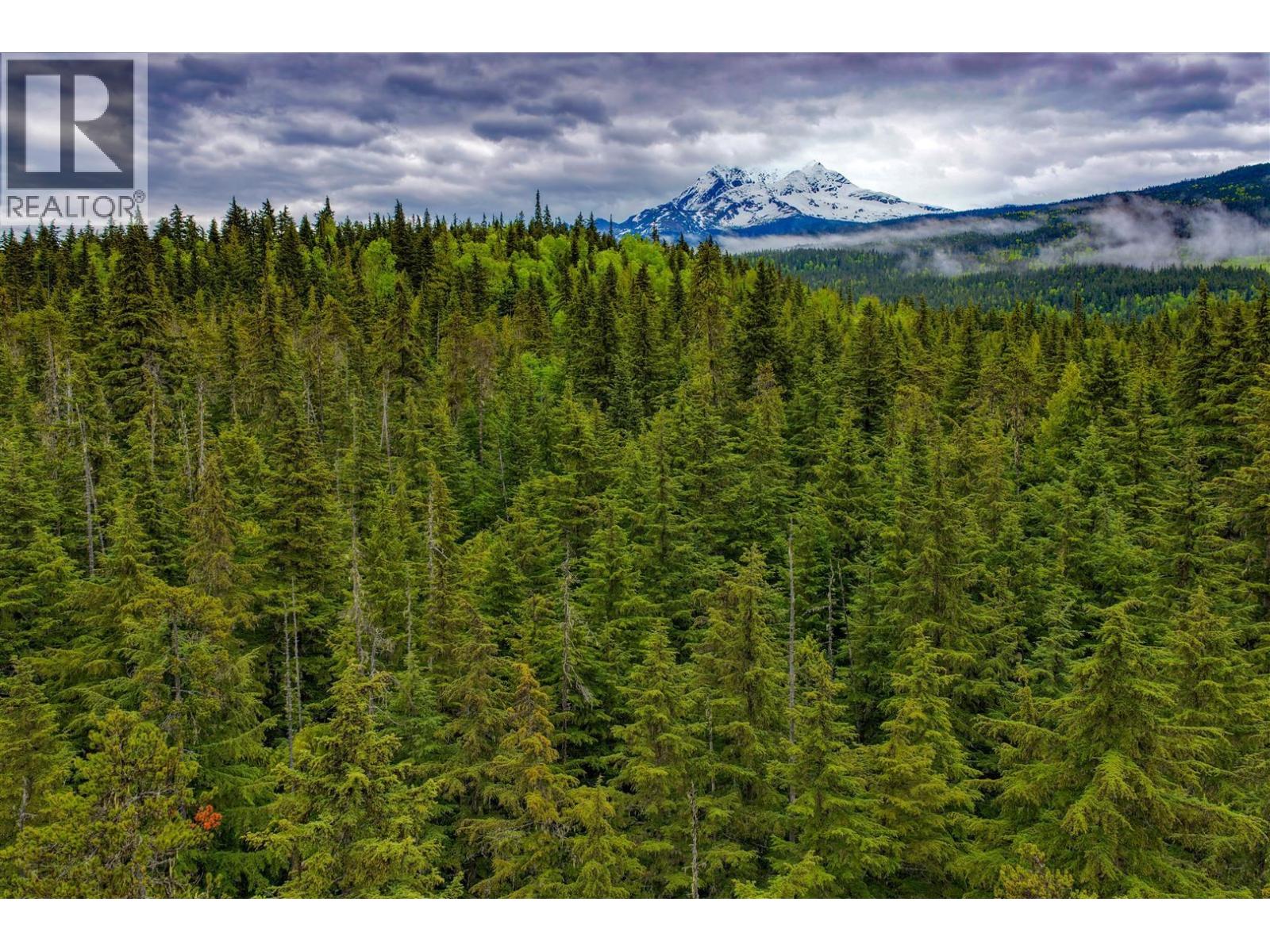 DL4772 SKEENA RIVER, Terrace