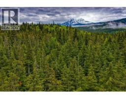 Dl 4772 Skeena River, Terrace, BC V8G0A8 Photo 19