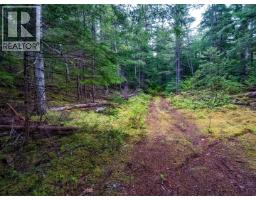 Dl 4772 Skeena River, Terrace, BC V8G0A8 Photo 24
