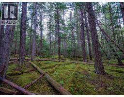 Dl 4772 Skeena River, Terrace, BC V8G0A8 Photo 25