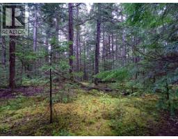 Dl 4772 Skeena River, Terrace, BC V8G0A8 Photo 26