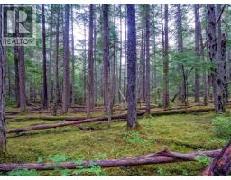 Dl 4772 Skeena River, Terrace, BC V8G0A8 Photo 29