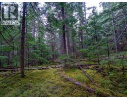 Dl 4772 Skeena River, Terrace, BC V8G0A8 Photo 30