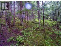 Dl 4772 Skeena River, Terrace, BC V8G0A8 Photo 31